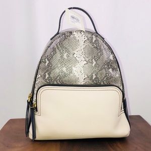 NWT Fossil Felicity Python Backpack